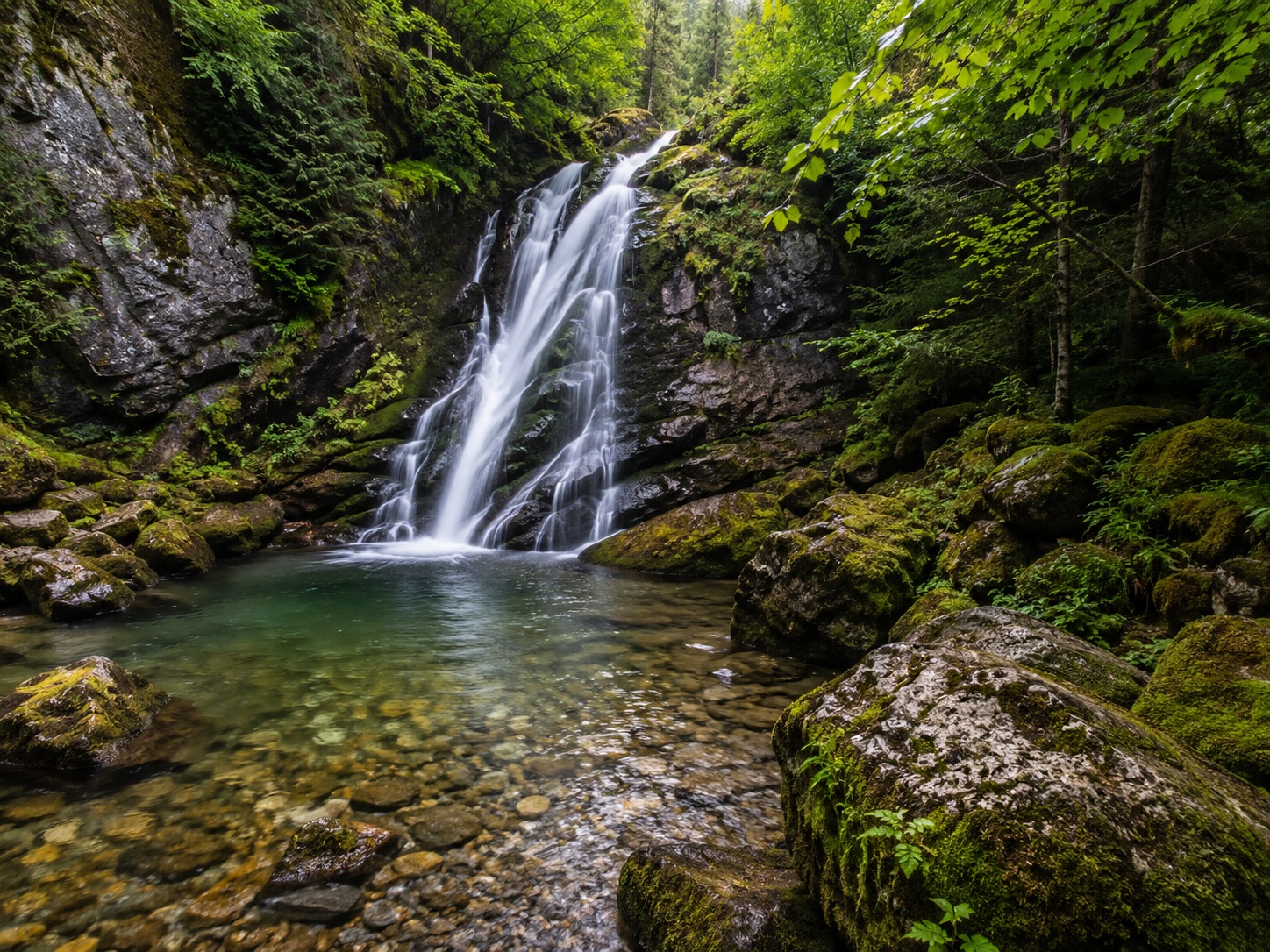 Vote option Hidden Falls